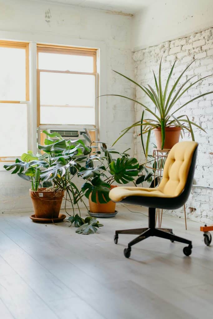 Biophilic Design
